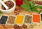 Giá tiêu có khả năng đạt 100.000 đồng/kg vào cuối năm nay