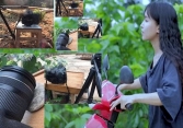Các ứng dụng bán lẻ của Trung Quốc có thể thay đổi cách mua sắm của cả thế giới