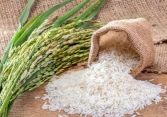 Giá gạo ổn định, giá lúa biến động trái chiều