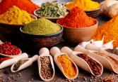 Thị trường tiêu im ắng, các công ty đồng loạt ngưng mua