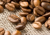 Giá cà phê Robusta tiếp tục tăng
