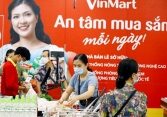 Cổ phiếu cần quan tâm 17/12: AGG, DLG, VIB, MSN