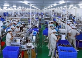 Các nhà đầu tư nước ngoài lạc quan về triển vọng kinh tế Việt Nam