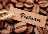 Giá cà phê trong nước tăng nhẹ