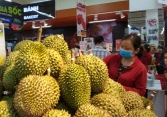 Sầu riêng miền Tây rớt giá, người trồng đứng trước nguy cơ lỗ nặng
