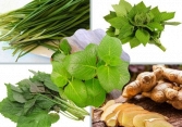 9 bài thuốc từ thiên nhiên có tác dụng tiêu đàm hiệu quả