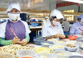 Xuất khẩu hạt điều giảm