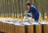 Cổ phiếu khuyến nghị phiên 25/3: PHR, BMP, BAF