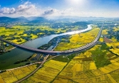 Nhà đầu tư đổ về Quy Nhơn săn đất nền ven biển sở hữu lâu dài 