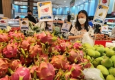 Giá thanh long tăng trở lại sau thời gian giảm giá mạnh do dịch bệnh