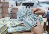Giá USD hôm nay 21/4: Bắt đầu giảm