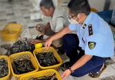 Bắt quả tang cơ sở bơm tạp chất vào tôm