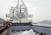 Doanh nghiệp cần lưu ý gì khi xuất khẩu gạo sang thị trường ASEAN