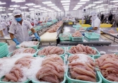 Xuất khẩu thủy sản được dự báo tiếp tục tăng trưởng trong quý 2/2022