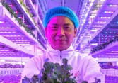 Gặp gỡ 'nông dân đô thị' Gordon Tam, người trồng rau bên trong các tòa nhà chọc trời của Hồng Kông