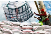 Thị trường nông sản 26/5: Giá gạo trên thị trường thế giới bật tăng