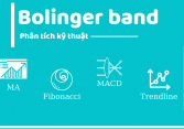 Bollinger là gì? Những điều cần biết về Bollinger