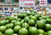 Bơ đầu mùa rớt giá còn 25.000-40.000 đồng/kg