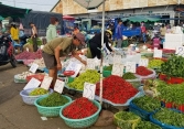 Giá ớt tăng cao, dao động từ 45.000 - 50.000 đồng/kg