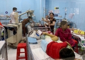 Nguy cơ bùng phát dịch sốt xuất huyết tại TP.HCM