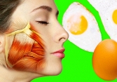 11 loại thực phẩm tốt cho sức khỏe