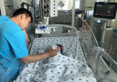 Cha mẹ không phân biệt được sốt xuất huyết và rối loạn tiêu hóa, con nguy kịch