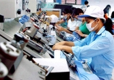 Nửa đầu năm, số doanh nghiệp thành lập mới tăng kỷ lục