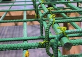Giá thép hôm nay 6/7: Tăng nhẹ trở lại, đạt mức 4.220 CNY/tấn