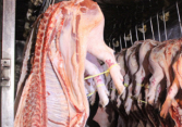 Nhập khẩu thịt giảm mạnh