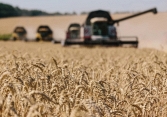 Ukraina và Nga sắp đạt được thỏa thuận về xuất khẩu ngũ cốc