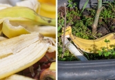 8 thứ chúng ta có thể tái sử dụng thay vì vứt bỏ chúng