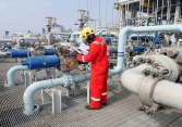 Giá gas hôm nay 2/8: Bất ngờ tăng vọt trở lại