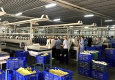 Cổ phiếu khuyến nghị 8/8: VPB, STK, GIL, TNG