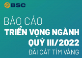 Báo cáo triển vọng ngành quý 3/2022: Đãi cát tìm vàng