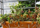 5 đồ vật không nên giữ trong nhà, tránh hao tài phá của