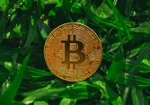 Thị trường tiền điện tử 10/9: Bitcoin phá mức 21.000 USD