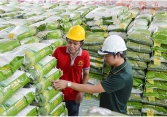 Giá gạo xuất khẩu tăng cao, doanh nghiệp nào hưởng lợi nhiều nhất?