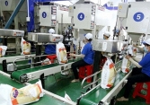 Khuyến nghị cổ phiếu 28/9: HDG, TNG, BAF, GAS