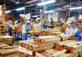 Khuyến nghị cổ phiếu 24/10: TNH, DGC, GDT, REE