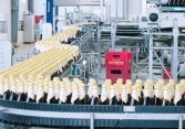 Khuyến nghị cổ phiếu 27/10: VHC, SAB, DCM, TRA