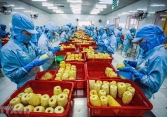 Xuất khẩu nông sản đạt 82,1 tỷ USD trong 10 tháng