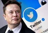 Elon Musk làm CEO Twitter, lên kế hoạch thu của người dùng 20 USD/tháng
