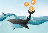 Cá voi Bitcoin là gì? Cá voi thao túng thị trường crypto như thế nào?