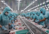 ECA International: Việt Nam trong top các nước tăng lương nhiều nhất khu vực 2023
