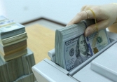 Tỷ giá ngoại tệ hôm nay 12/11: USD lao dốc phiên cuối tuần