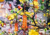 Người lao động được nghỉ 7 ngày trong dịp Tết Nguyên đán 2023