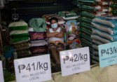Philippines gia hạn ưu đãi thuế đối với gạo nhập khẩu để chống lạm phát