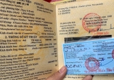 Từ 1/2, có thể tự tra cứu hồ sơ đăng kiểm xe trên mạng