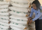 TP.HCM tạm giữ gần 12 tấn đường lậu