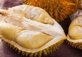 Trung Quốc trong 'cơn khát' sầu riêng